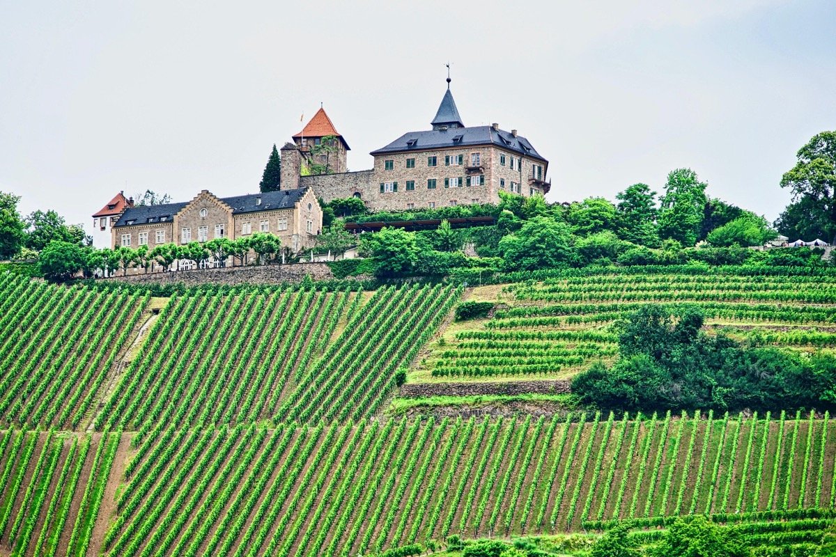 Domaine viticole avec château sur les hauteurs des vignes